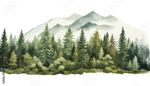 Watercolor Forest tree illustration. Mountain landscape. Woodland pine trees. Green Forest.