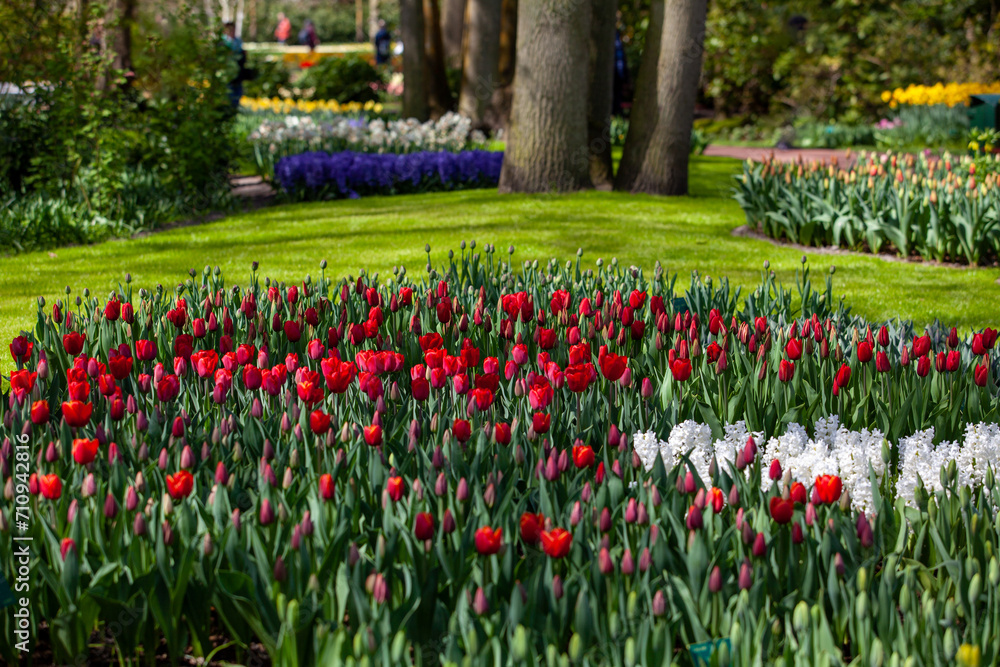 A Springtime Garden.Beautiful Garden in Full Bloom A Springtime Garden.Beautiful Garden in Full Bloom