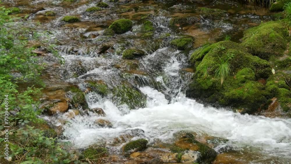 A fast clean spring mountain river stream runs through huge stones covered with green moss A fast clean spring mountain river stream runs through huge stones covered with green moss