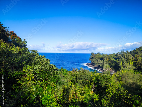 Ocean View From Hilo Hawaii