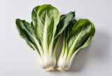 Vibrant Chinese cabbage isolated on white with shadows