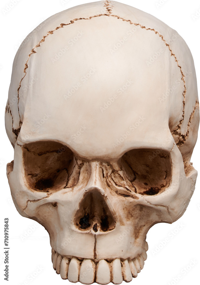 Obraz premium LAYER-LAB_1708219408F_LC