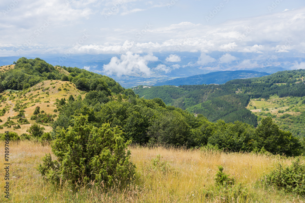 Scenic summer nature landscape with lush greenery and blue skies with clouds. Scenic summer nature landscape with lush greenery and blue skies with clouds.