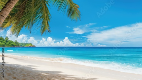 sun beach summer background illustration ocean vacation, paradise tropical, seashells palm sun beach summer background © vectorwin