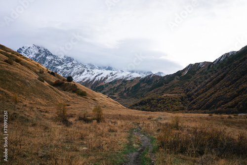 Autumnal Tranquility in the Mountains. A serene path leads towards snow-capped peaks amidst the golden hues of fall