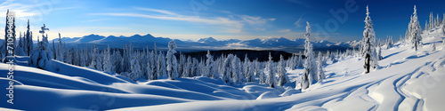 Pristine Snow-Covered Forest and Mountain Range