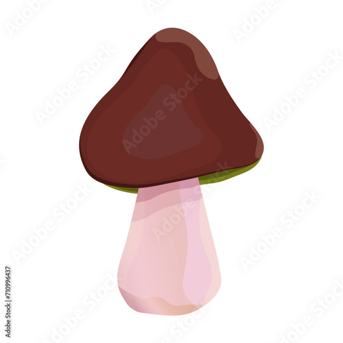 Honey mushrooms. Cartoon non-edible mushroom. Organic, poisonous mushroom. Hypholoma fascicular. Cartoon mushroom on a white background. Type of forest mushrooms. Vector drawing