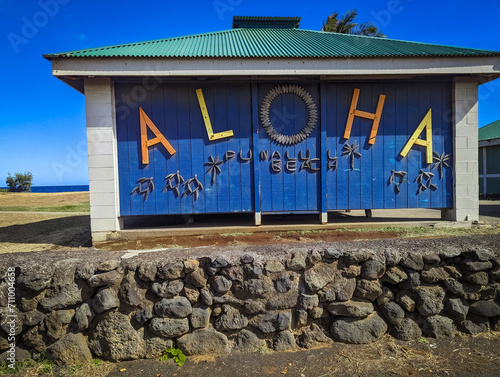 Punaluu Black Sand Beach Hawaii