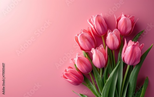 Tulips flower banner, March...