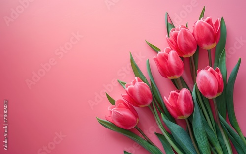 Tulips flower banner, March 8 Women's day, space for text