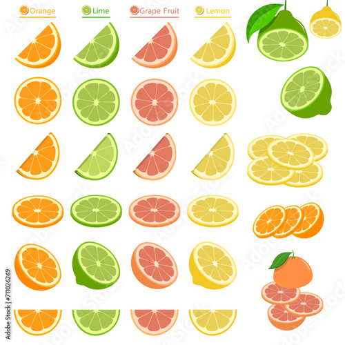 Vector Graphic Citrus Fruits Slice Collection 4 Colors (Orange,Lime,Grapefruit,Lemon)
