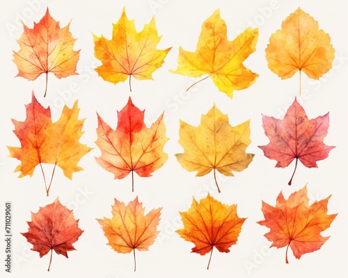 Watercolor Autumn Leaves