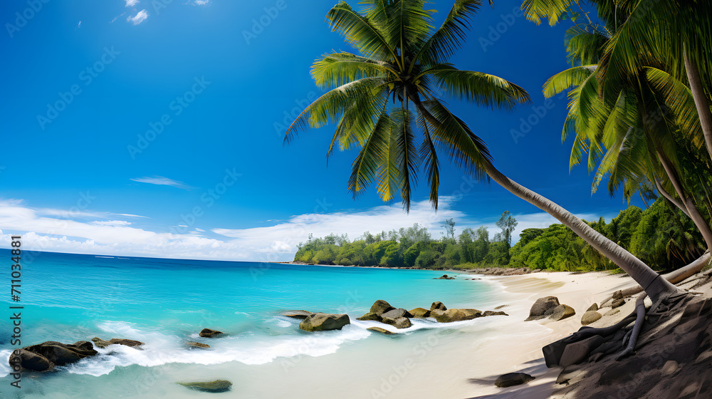 Tropical Beach with coconut Palms