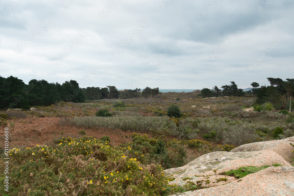La côte de granit rose à Ploumanac'h en Bretagne - France La côte de granit rose à Ploumanac'h en Bretagne - France
