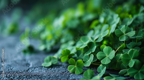 The soothing presence of green clover leaves offers a tranquil environment, leaving a designated s photo