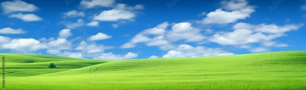 Lawn with green grass and sunshine. Lawn with green grass and sunshine.