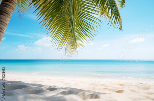 Weißer Sandstrand und türkis blaues Meer, Strand mit Palmen im Paradies, Palmen Rahmen den Blick auf das Meer © GreenOptix