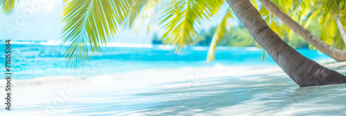 panorama of tropical beach with coconut palm trees	 photo