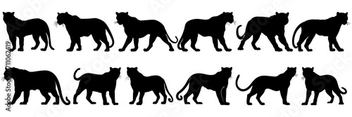 Panther silhouettes set, large pack of vector silhouette design, isolated white background