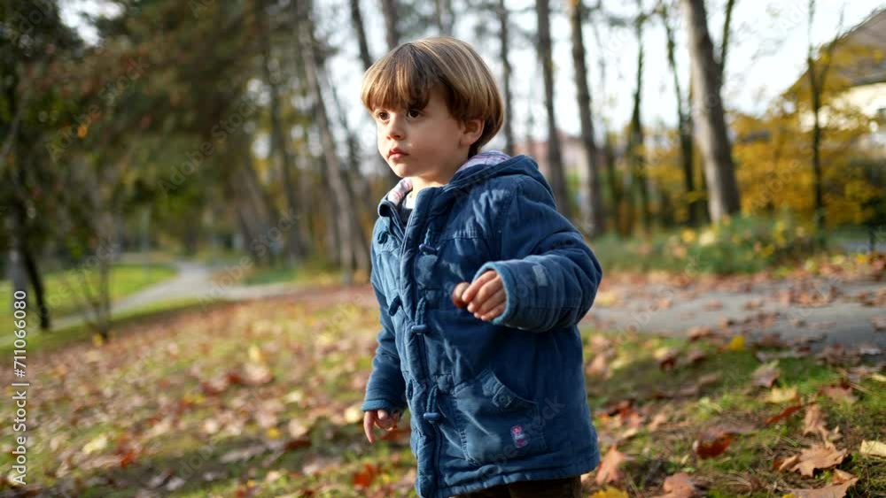 Contemplative child standing at park with blue jacket amidst orange leaves during autumn fall season. Pensive thoughtful 3 year old boy in nature Contemplative child standing at park with blue jacket amidst orange leaves during autumn fall season. Pensive thoughtful 3 year old boy in nature