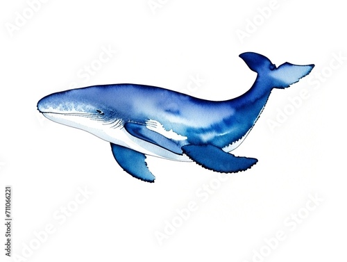 Whale watercolor illustration on white background.