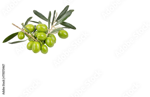 Green fresh olives on the w...