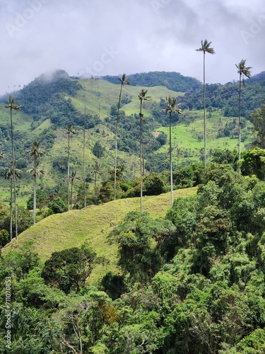 naturaleza