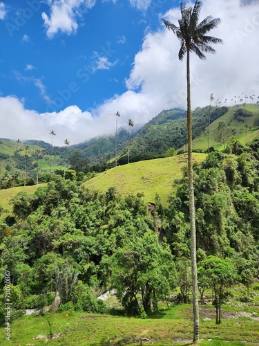 naturaleza