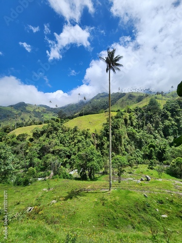 naturaleza