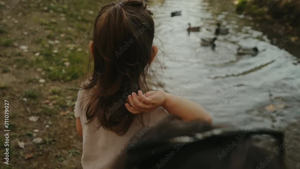 Back view of a little girl feeding ducks on summer day. Child feeding birds outdoors. Summer activity for little kids. Back view of a little girl feeding ducks on summer day. Child feeding birds outdoors. Summer activity for little kids.