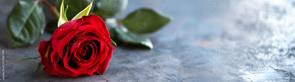 A vibrant red rose, adorned with lush green leaves, stands proudly in a blooming garden, its petals delicate and full as it symbolizes love and beauty in the form of a floribunda cut flower, rooted f A vibrant red rose, adorned with lush green leaves, stands proudly in a blooming garden, its petals delicate and full as it symbolizes love and beauty in the form of a floribunda cut flower, rooted f