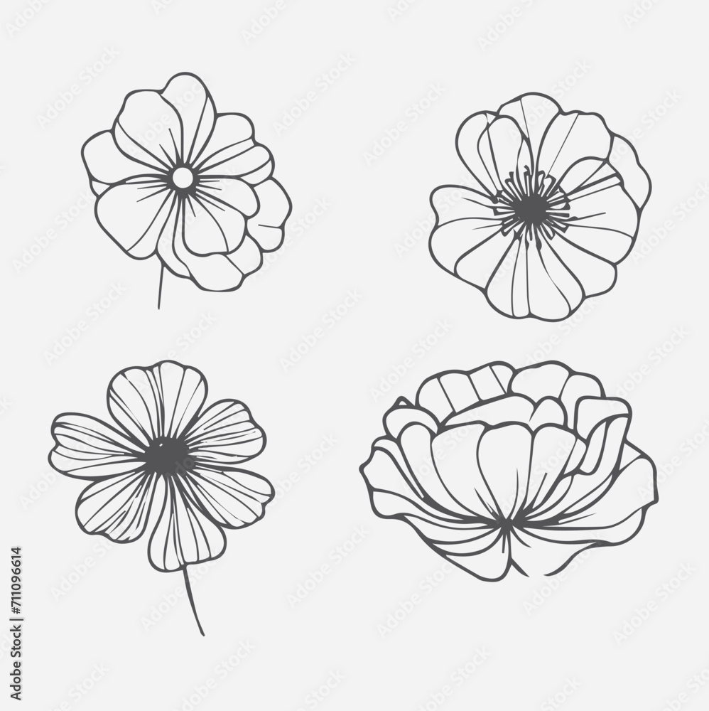 Obraz premium Set of Botanical arrangement of leaves branches and blooming flowers. Vector ornamental herbs and wildflowers for bouquet. Wedding design.vector flowers illustration