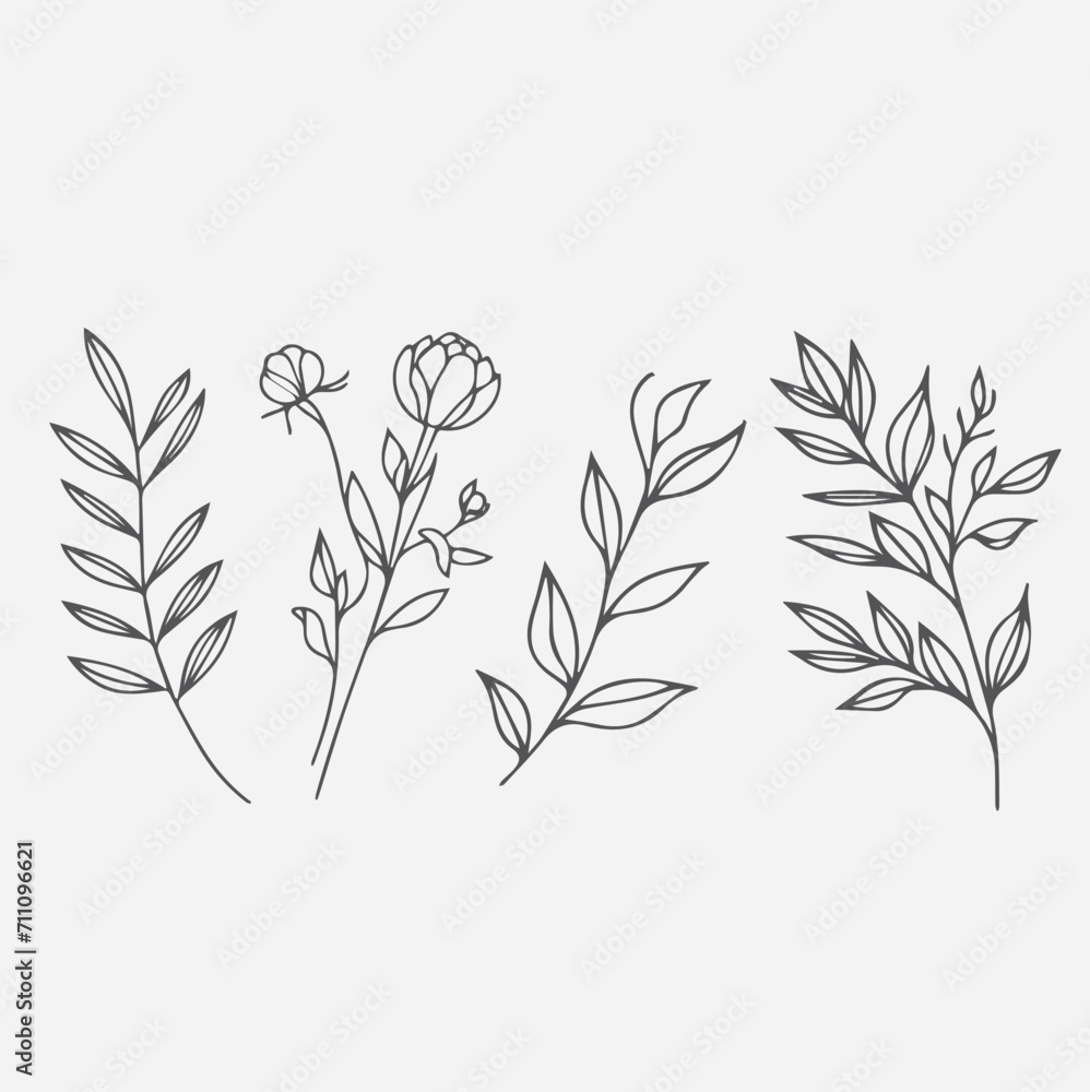 Set of Botanical arrangement of leaves branches and blooming flowers. Vector ornamental herbs and wildflowers for bouquet. Wedding design.vector flowers illustration Set of Botanical arrangement of leaves branches and blooming flowers. Vector ornamental herbs and wildflowers for bouquet. Wedding design.vector flowers illustration