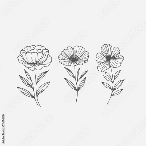 Set of Botanical arrangement of leaves branches and blooming flowers. Vector ornamental herbs and wildflowers for bouquet. Wedding design.vector flowers illustration