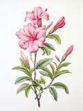 Artisanal Botanical Illustrations: Delicate Watercolor Plant Designs in Vintage Art Print