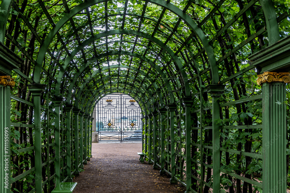 A tunnel in the park entwined with greenery on a summer day. A tunnel in the park entwined with greenery on a summer day.