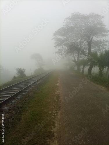 morning in the fog