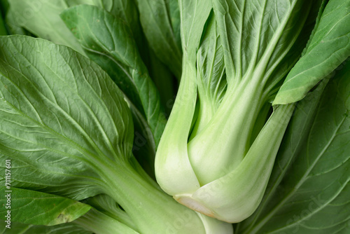 Tableau sur toile Bok choy or Pak choi (Chinese cabbage) pattern texture background