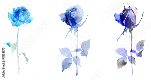 Vector watercolor blue roses Hand Painted, purple rose decoration painting,Valentine's Day Bouquet, Confession, Wedding