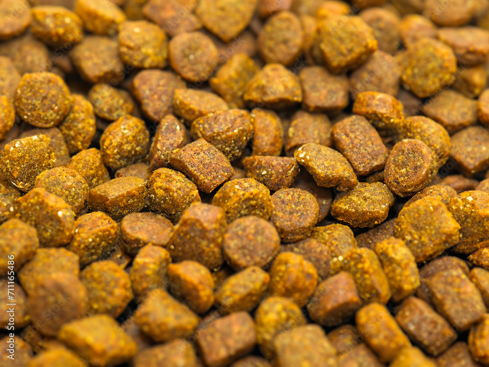 Dry pet food background. Pile of granulated animal feeds. Granules of good nutrition for dogs and cats. Dry pet food background. Pile of granulated animal feeds. Granules of good nutrition for dogs and cats.