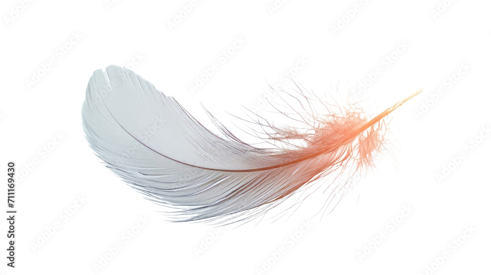 White Feather Floating in the Air, Serene and Delicate Beauty in Motion