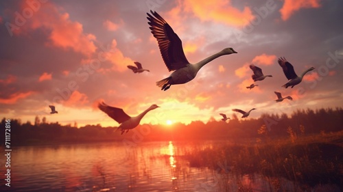 Majestic Seagulls Soaring in the Radiant Golden Sunset Sky - AI-Generative