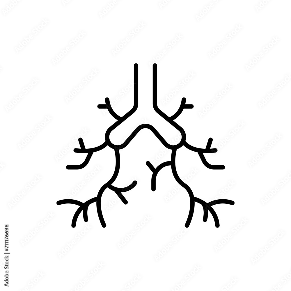 Bronchus outline icons, minimalist vector illustration ,simple transparent graphic element .Isolated on white background Bronchus outline icons, minimalist vector illustration ,simple transparent graphic element .Isolated on white background