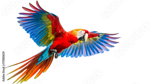 Colorful Parrot Soaring Through the Air in Vibrant Flight © LUPACO PNG