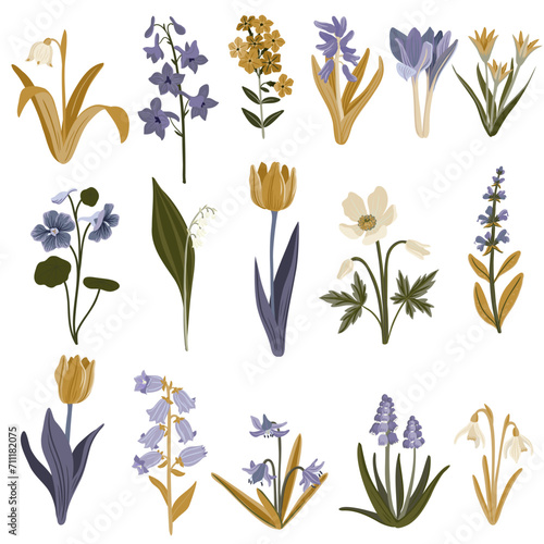 garden flowers, vector drawing flowering plants at white background, floral elements, hand drawn botanical illustration