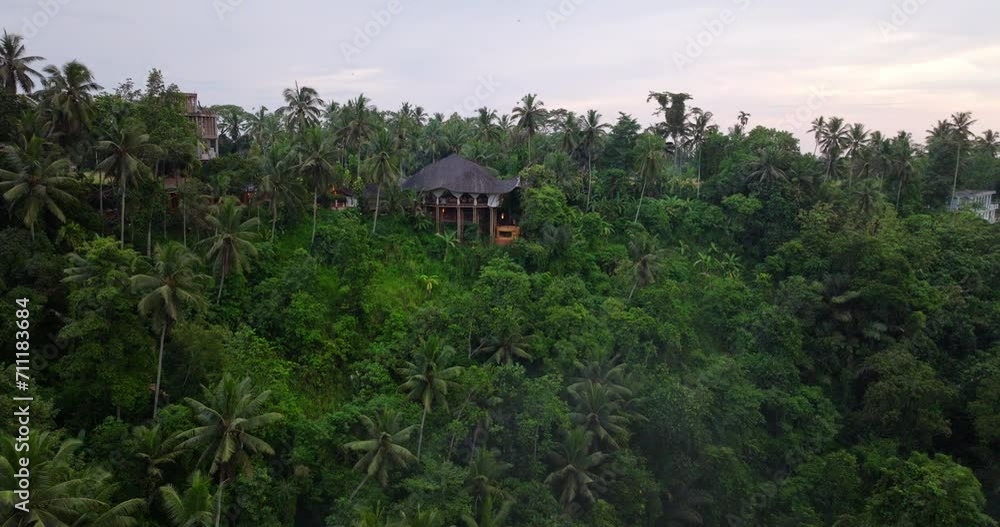 Wooden buildings, Ubud jungle nestled seamlessly within lush tropical surround Wooden buildings, Ubud jungle nestled seamlessly within lush tropical surround