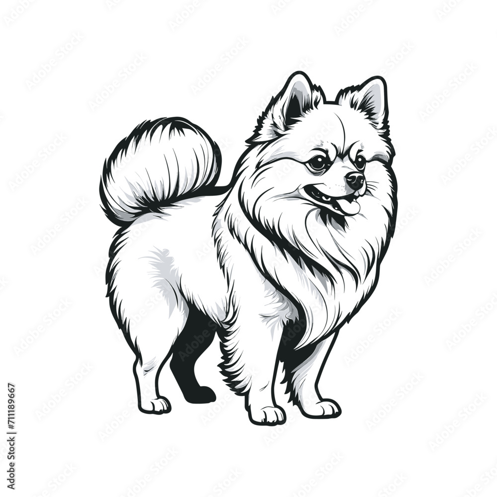 cute pomeranian dog hand drawn art style illustration