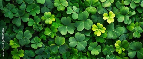 St. Patrick's Day Symbol Green Shamrocks and Four-Leaf Clover in Nature