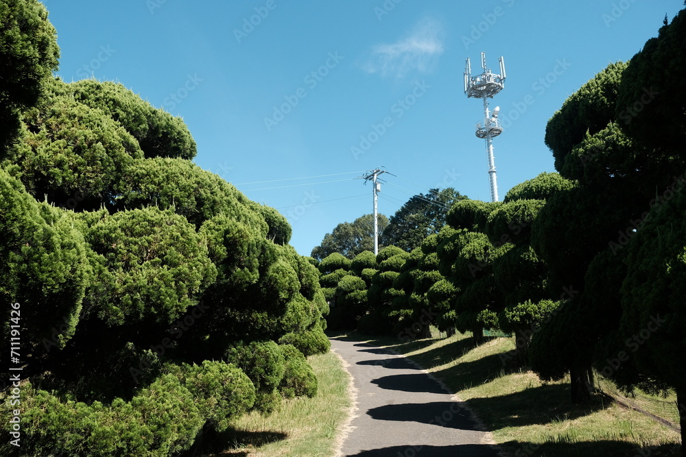 garden in the park