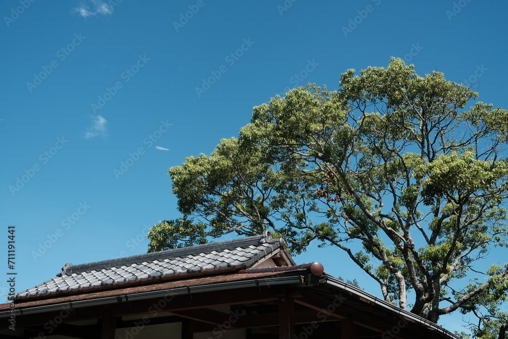 roof of the house